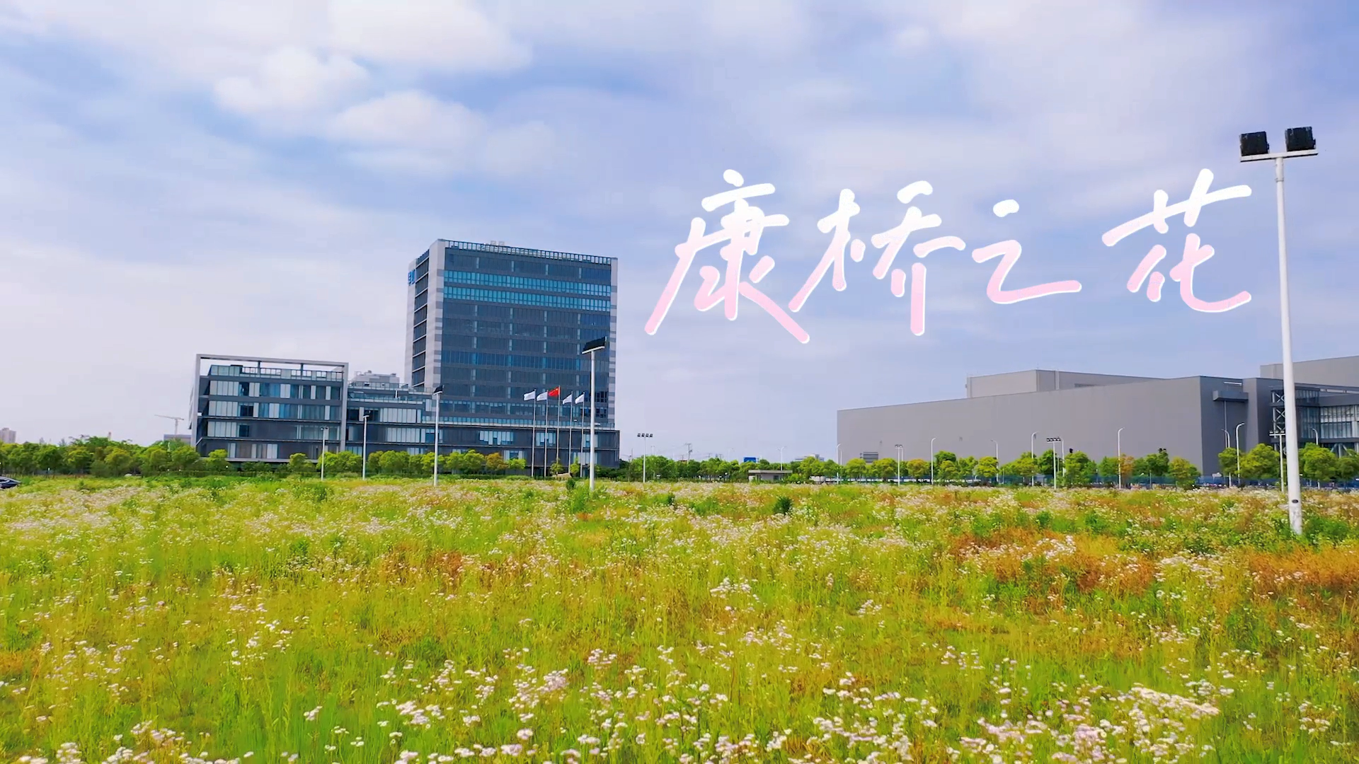 k8(й)Ӯҡһ